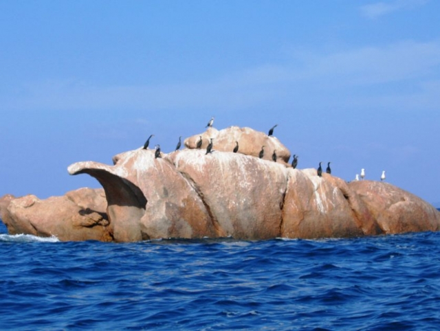  Paisajes de Córcega 